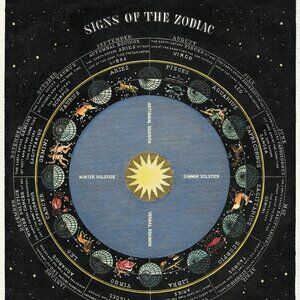 Wood Framed & Mounted “Signs of the Zodiac” Poster Wall Art